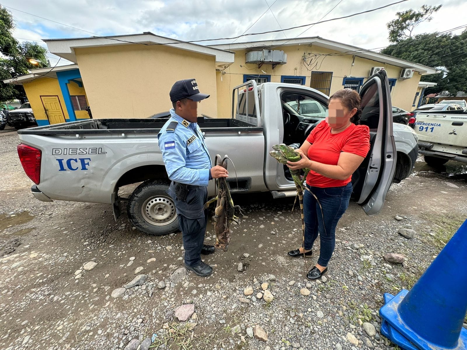 Policía de La Ceiba detiene traficante de vida silvestre y rescata especies protegidas